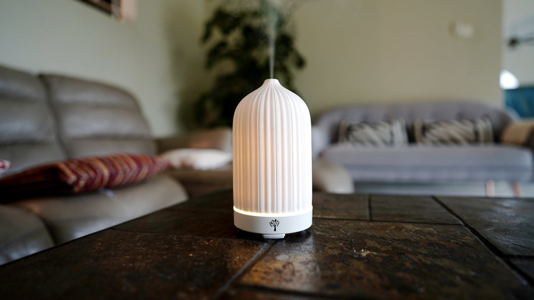 Mist Diffusers vs. Waterless Diffusers: Which One Should You Choose?