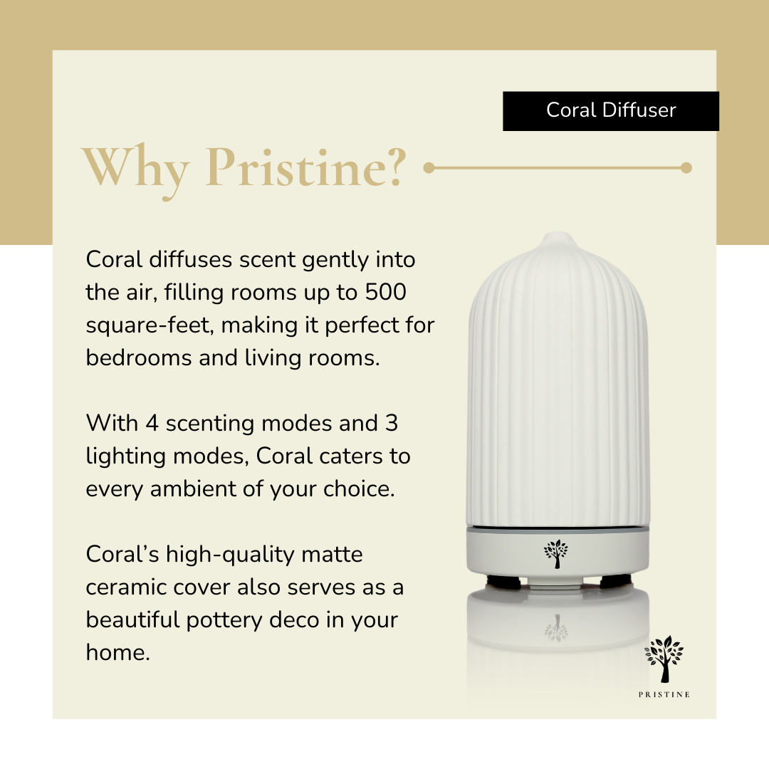 White Coral Diffuser + 6-Pack Hotel Scent Bundle