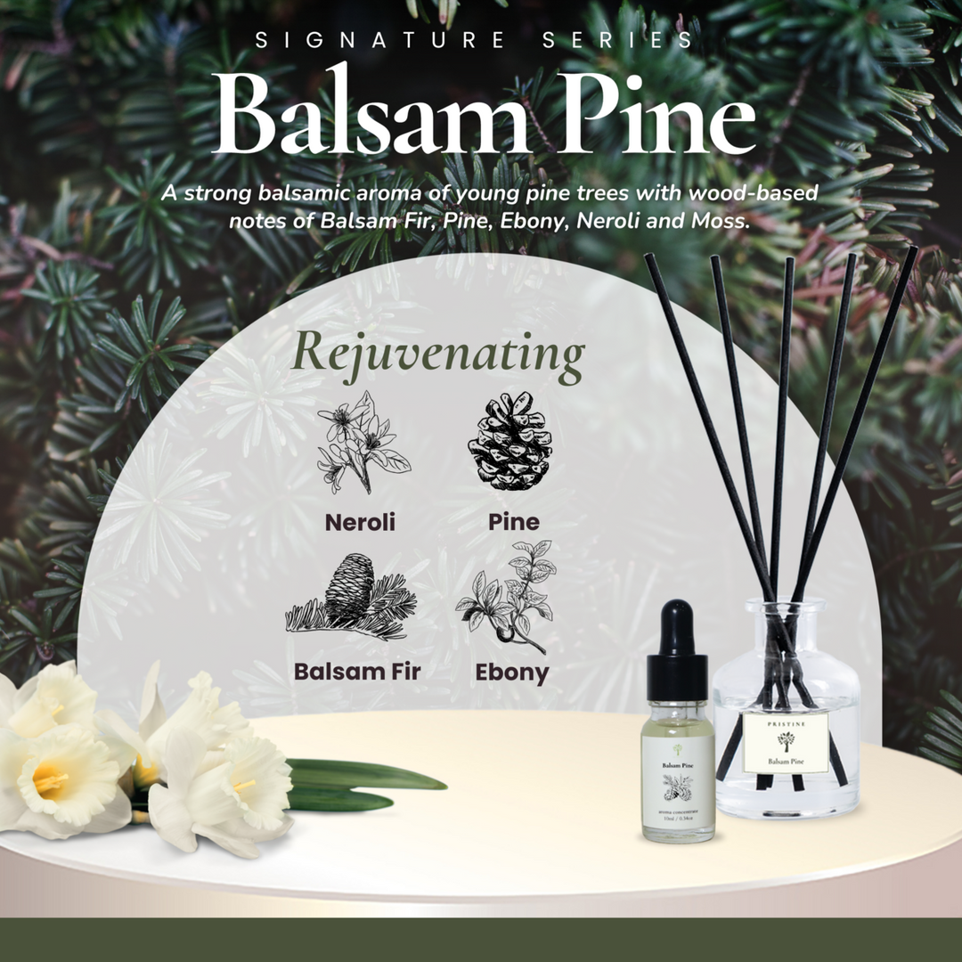 4-Pack Signature Aroma Concentrate Set (Free Mist Diffuser)
