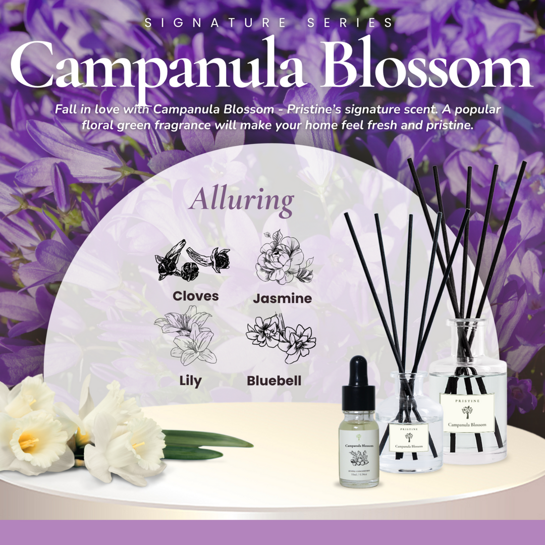 4-Pack Signature Aroma Concentrate Set (Free Mist Diffuser)