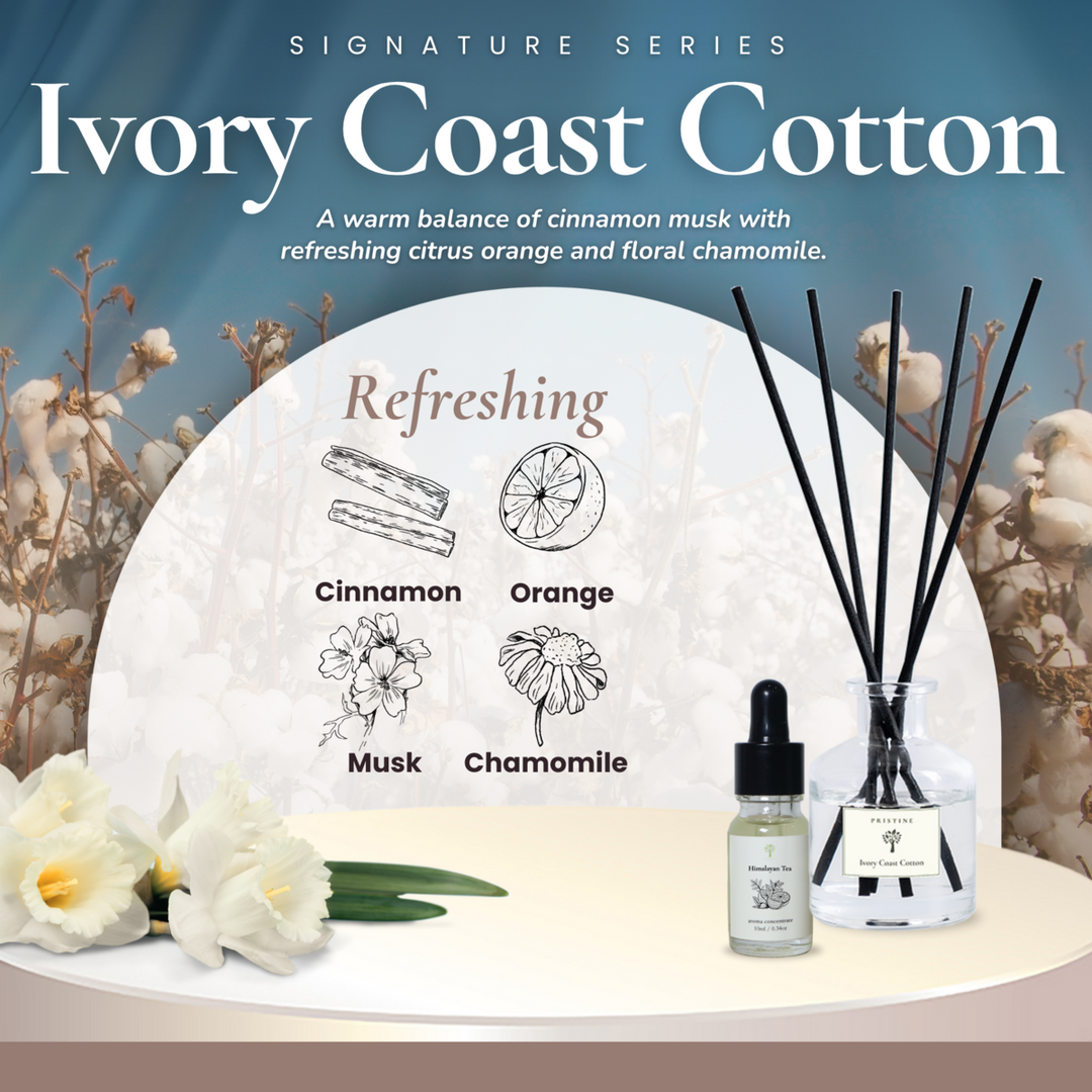 4-Pack Signature Aroma Concentrate Set (Free Mist Diffuser)
