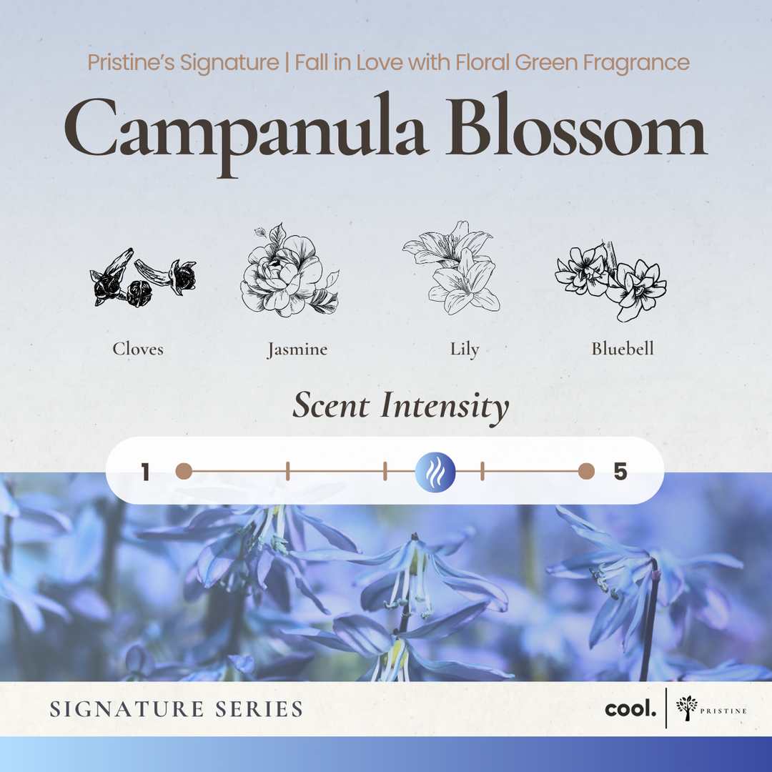 Black Coral Diffuser + 4-Pack Signature Scent Bundle