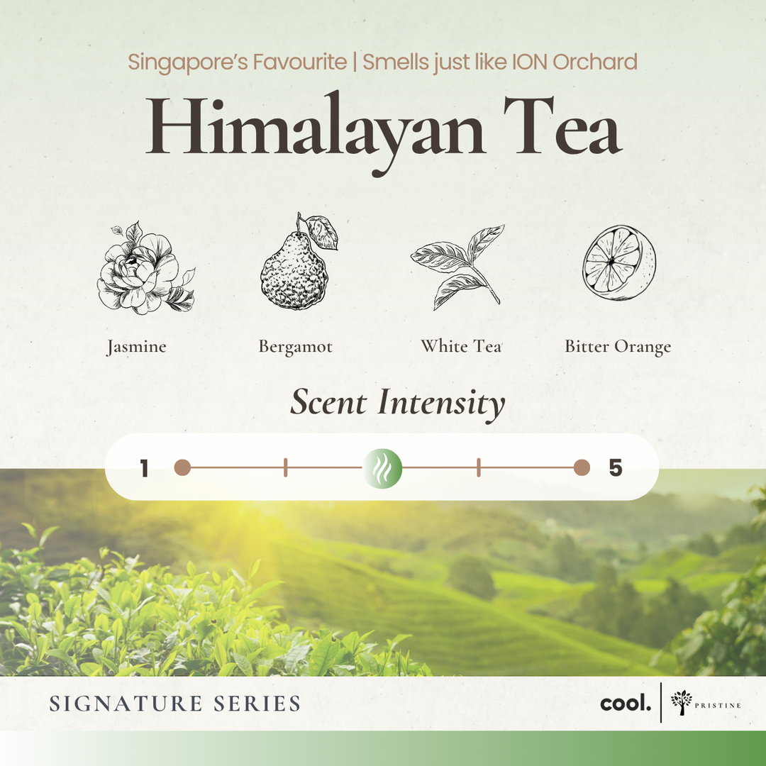 Himalayan Tea Reed Diffuser - 500ml
