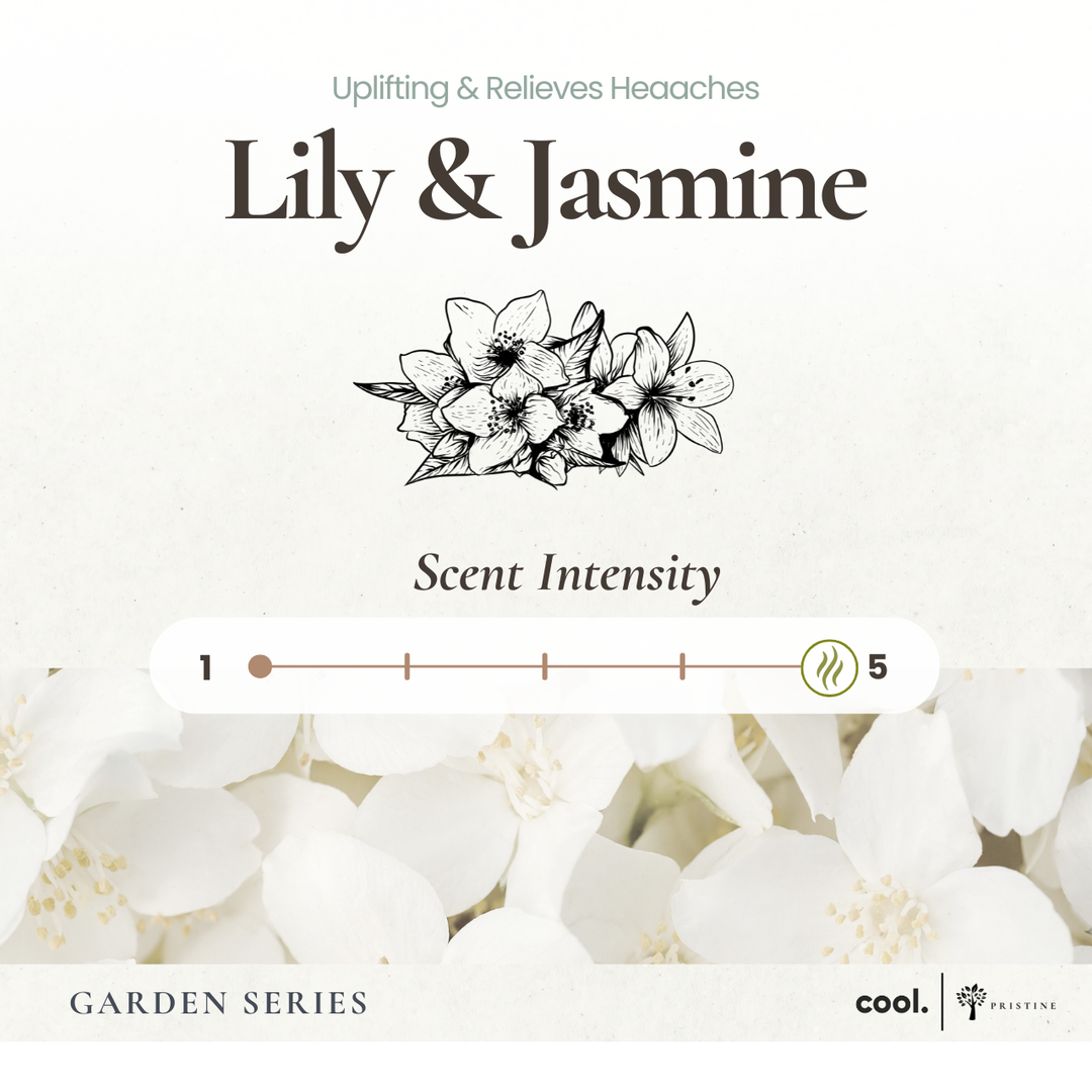 Lily & Jasmine Refill - 180ml (Free Reed Sticks)
