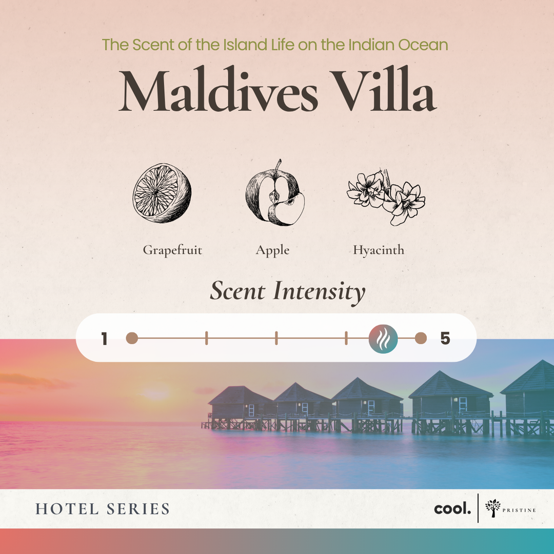 Maldives Villa Refill - 180ml (Free Reed Sticks)