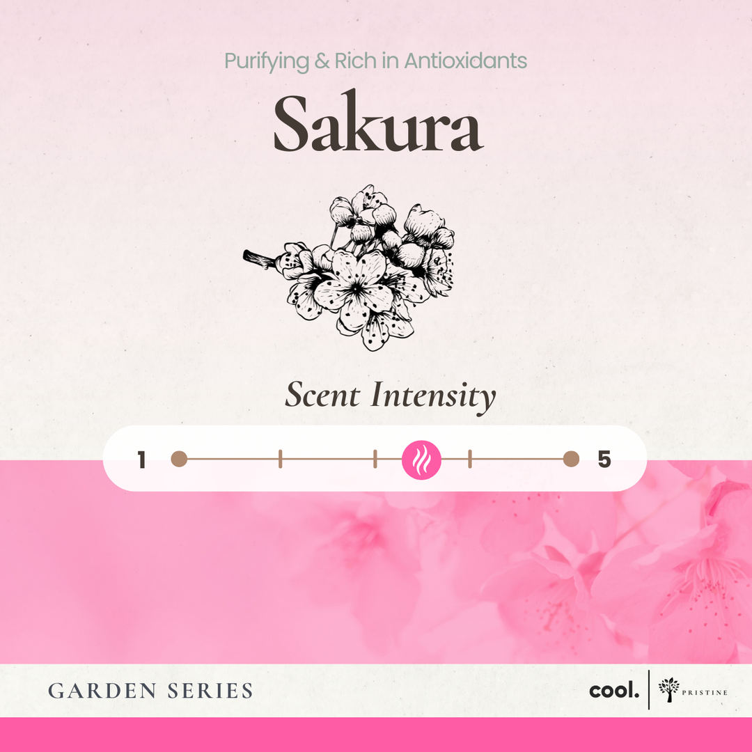 Sakura Reed Diffuser