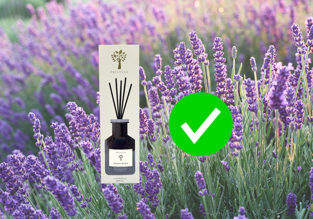 Why You Should Use Lavender Fragrance for Your Home