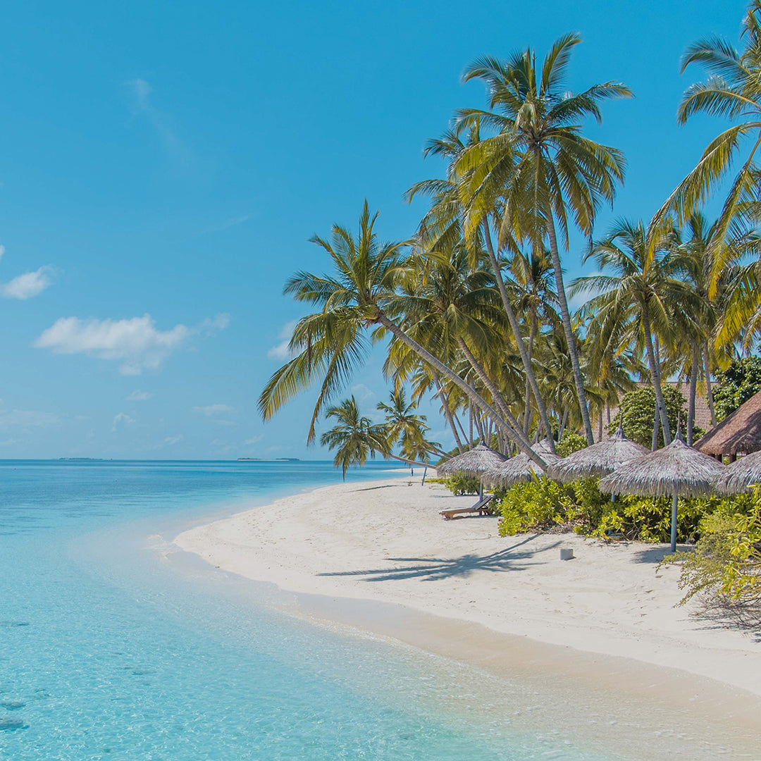 Maldives Villa: A Trip To Paradise Island
