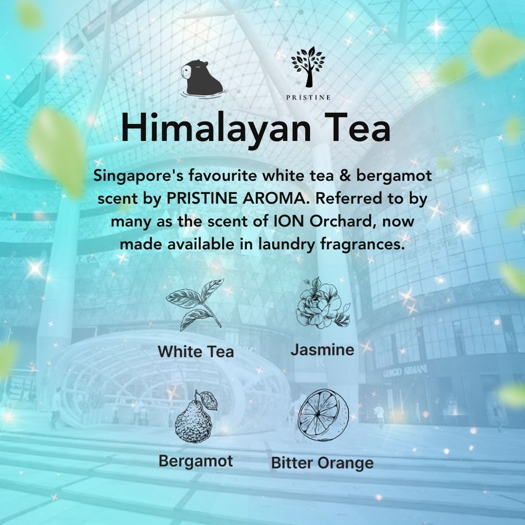 Himalayan Tea Laundry Pods x 2