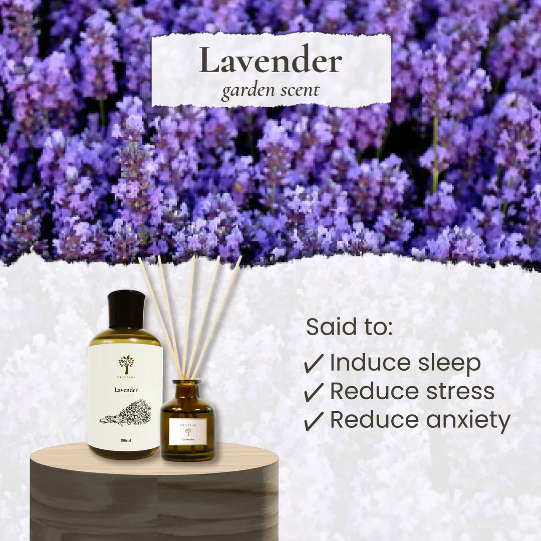 Lavender Reed Diffuser - 50ml | Pristine SG
