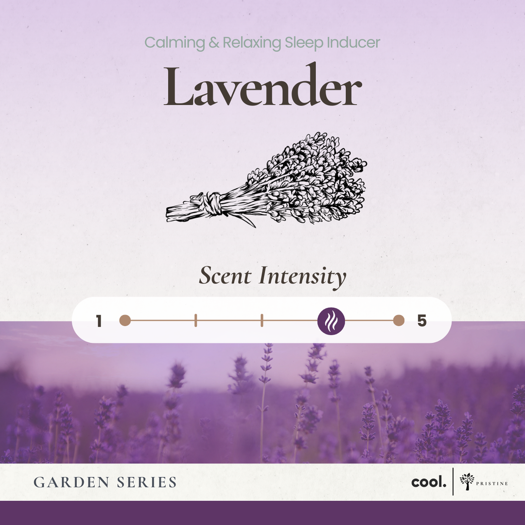Lavender Reed Diffuser - 50ml | Pristine SG