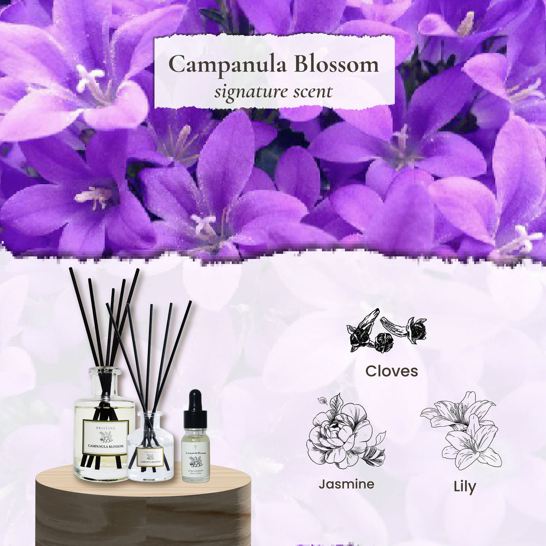 Campanula Blossom Floral | Essential Oils And Diffuser