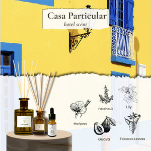 Casa Particular Aroma Concentrate